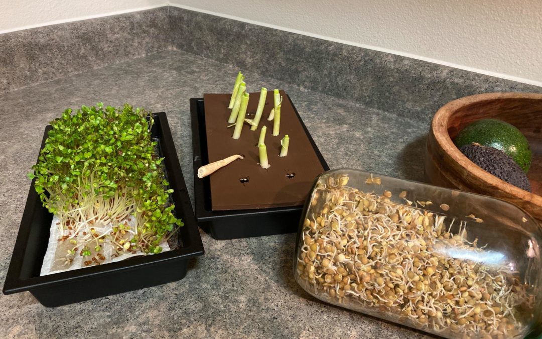 Paul Webb | 03/11/2021