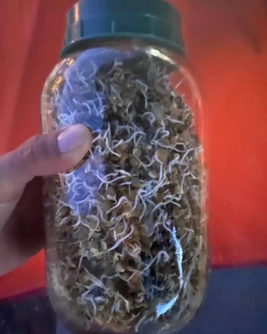 Paul Webb | 04/29/2021