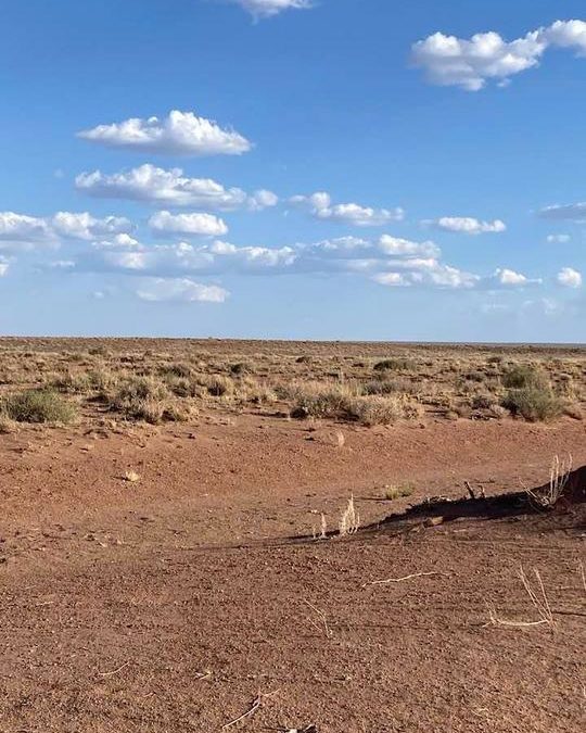 Paul Webb | 05/08/2021