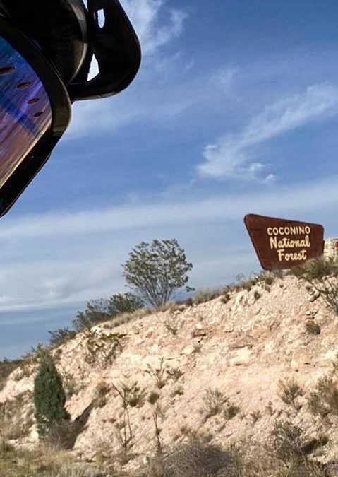 Paul Webb | 05/01/2021