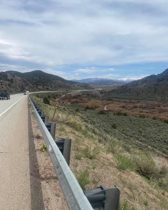 Paul Webb | 05/21/2021