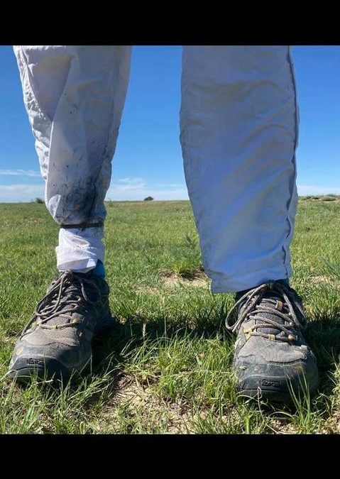 Paul Webb | 05/29/2021