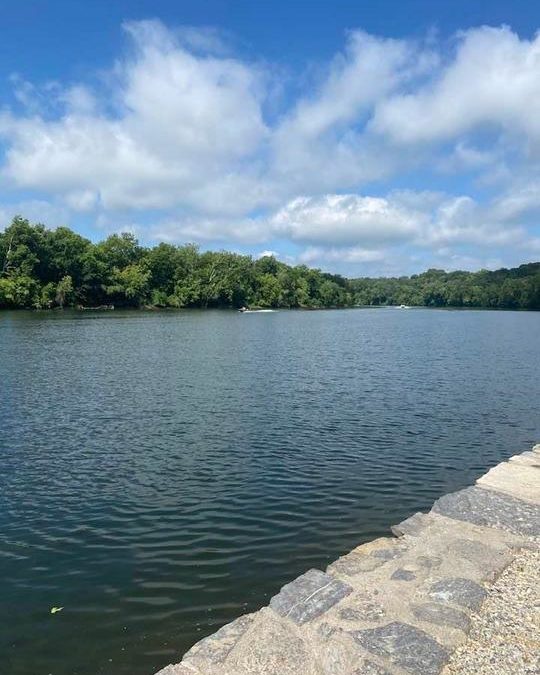 Paul Webb | 07/13/2021