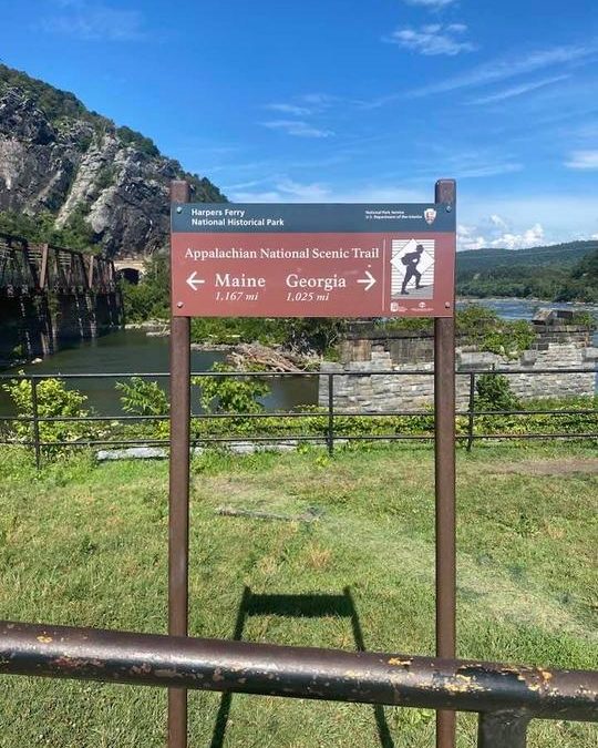 Paul Webb | 07/13/2021