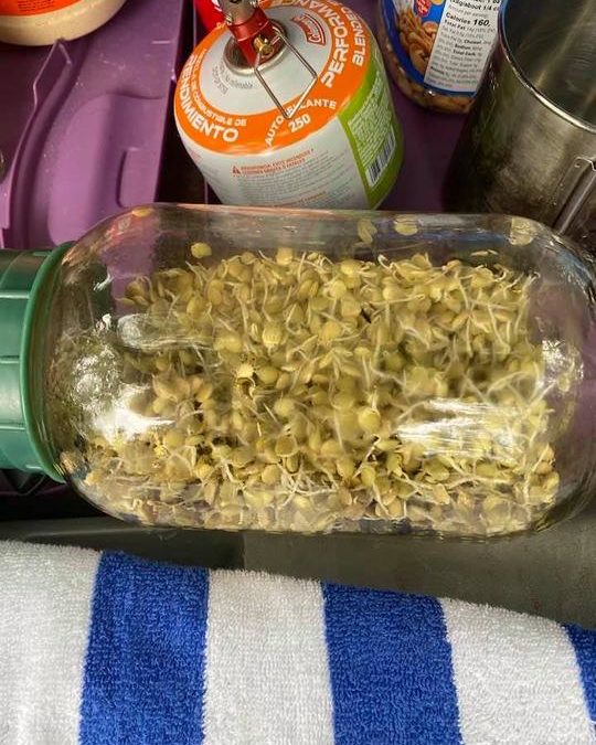 Paul Webb | 07/18/2021