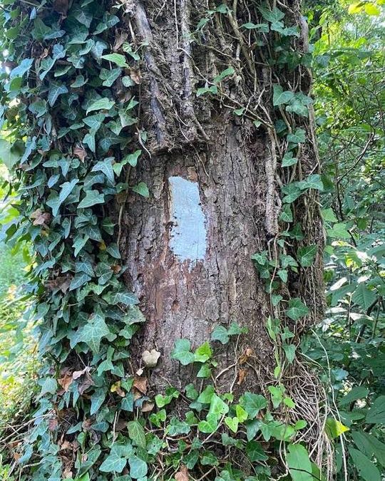 Paul Webb | 07/22/2021