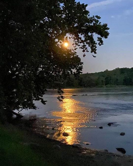 Paul Webb | 07/22/2021