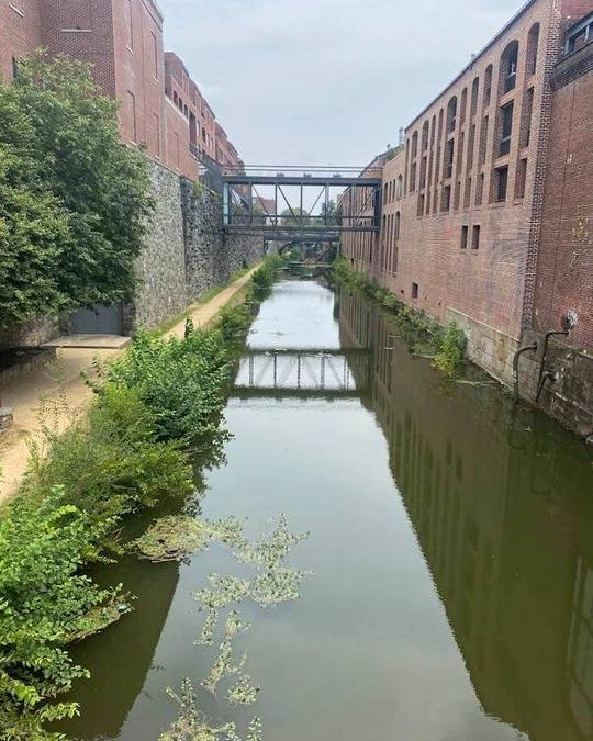 Paul Webb | 07/29/2021