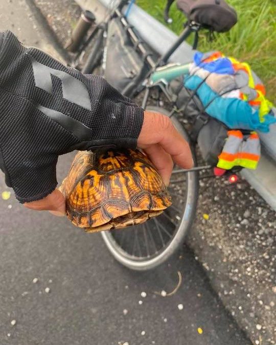 Paul Webb | 06/21/2021