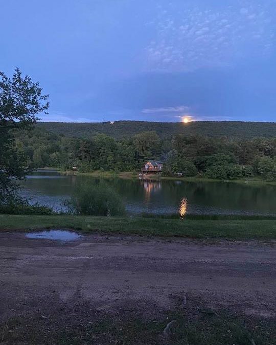 Paul Webb | 06/23/2021