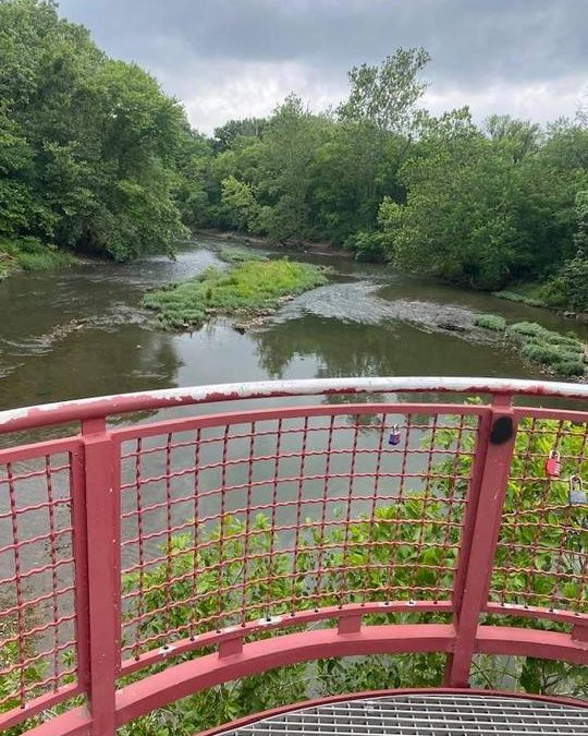 Paul Webb | 06/25/2021