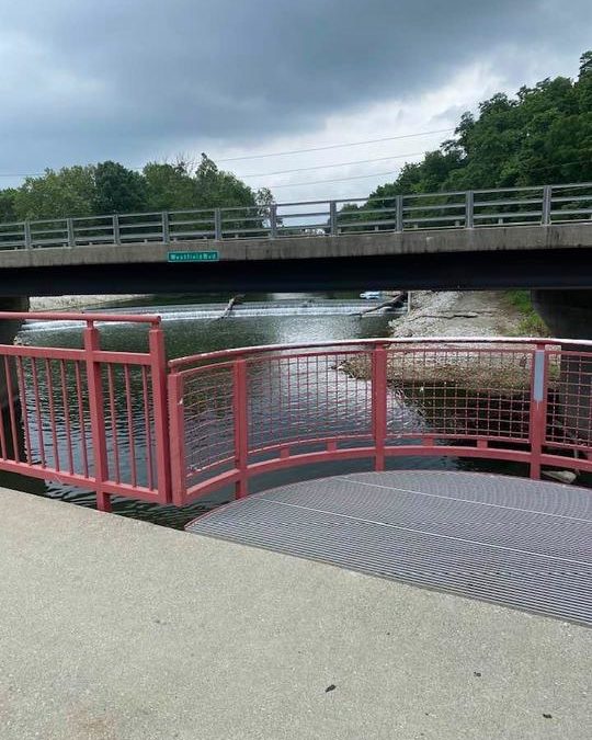 Paul Webb | 06/25/2021