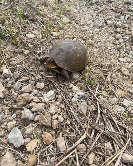 Paul Webb | 06/05/2021