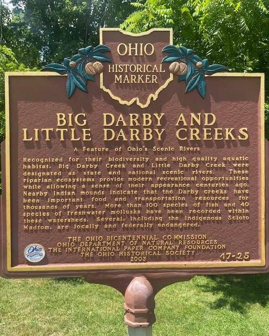 Paul Webb | 06/29/2021