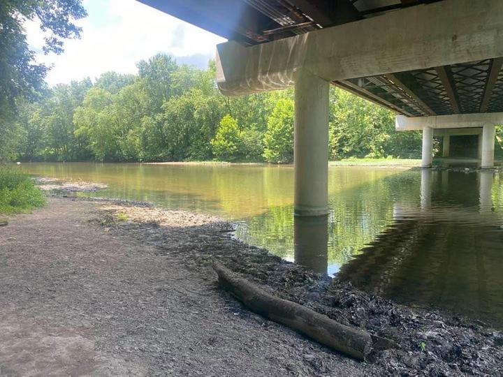 Paul Webb | 06/29/2021