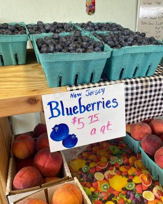 Paul Webb | 07/03/2021