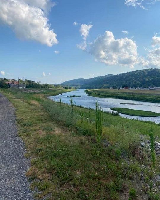 Paul Webb | 07/09/2021